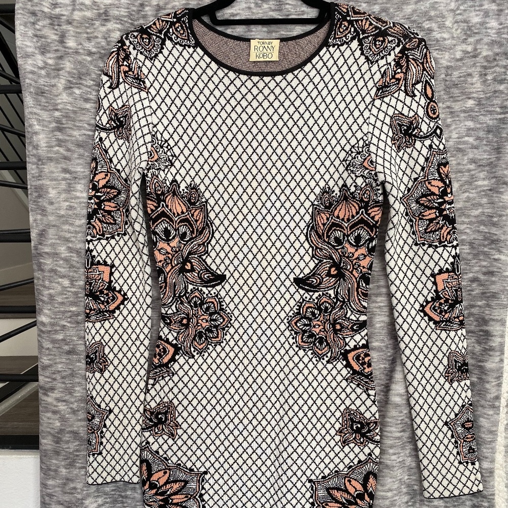 Torn by Ronny Kobo Long Sleeve Dress